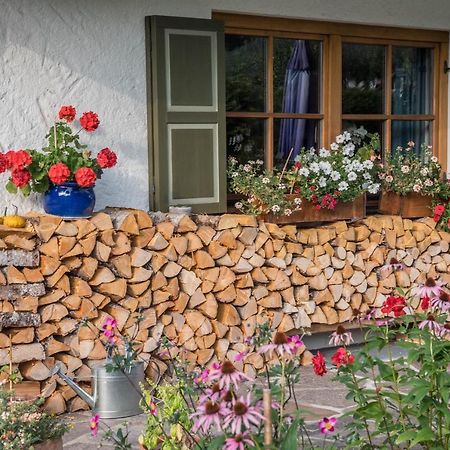 Ferienwohnung Gipfelblick グライナウ エクステリア 写真