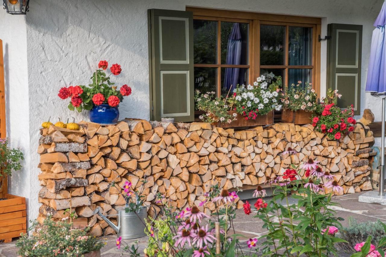 Ferienwohnung Gipfelblick グライナウ エクステリア 写真