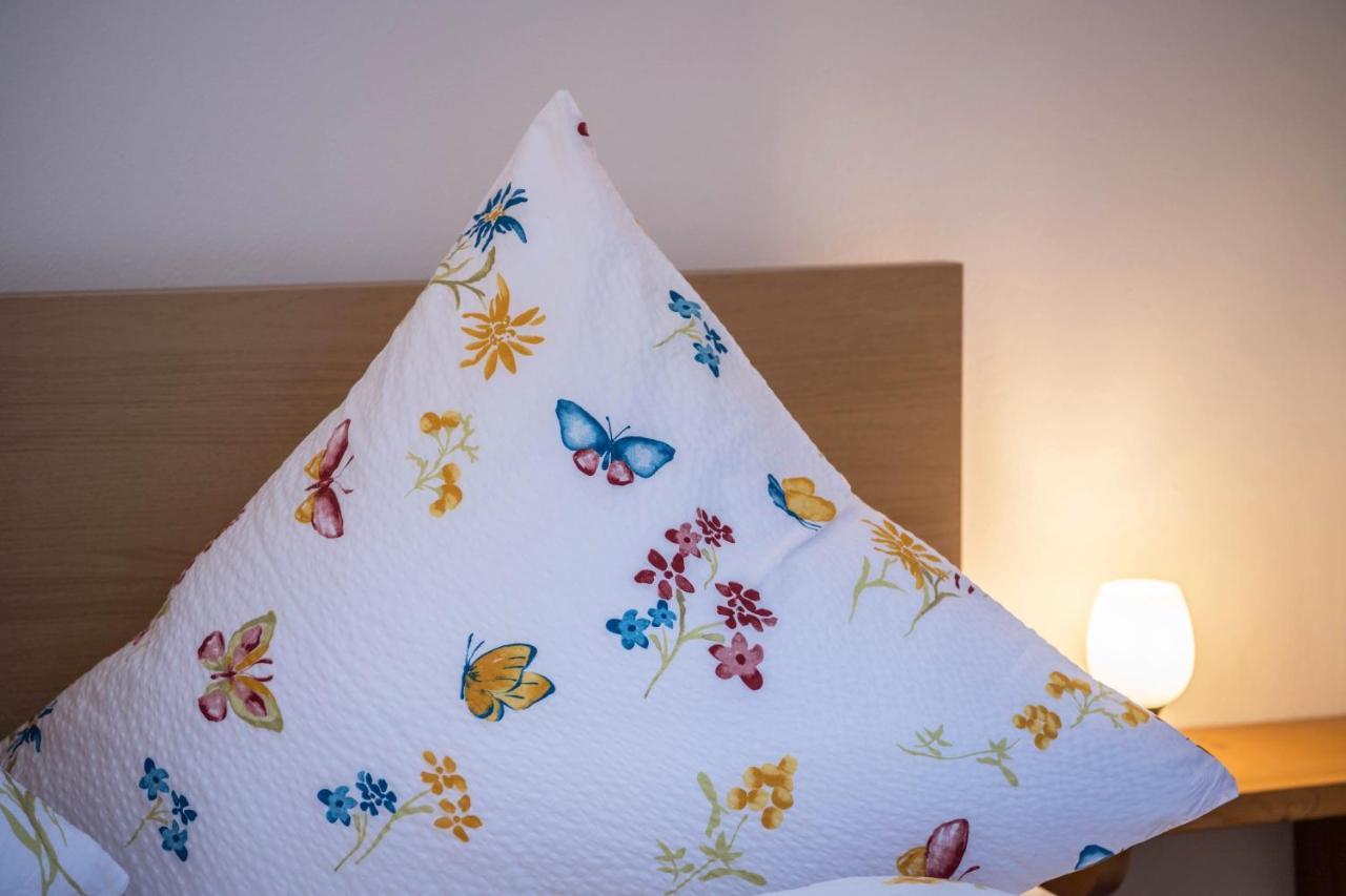 Ferienwohnung Gipfelblick グライナウ エクステリア 写真