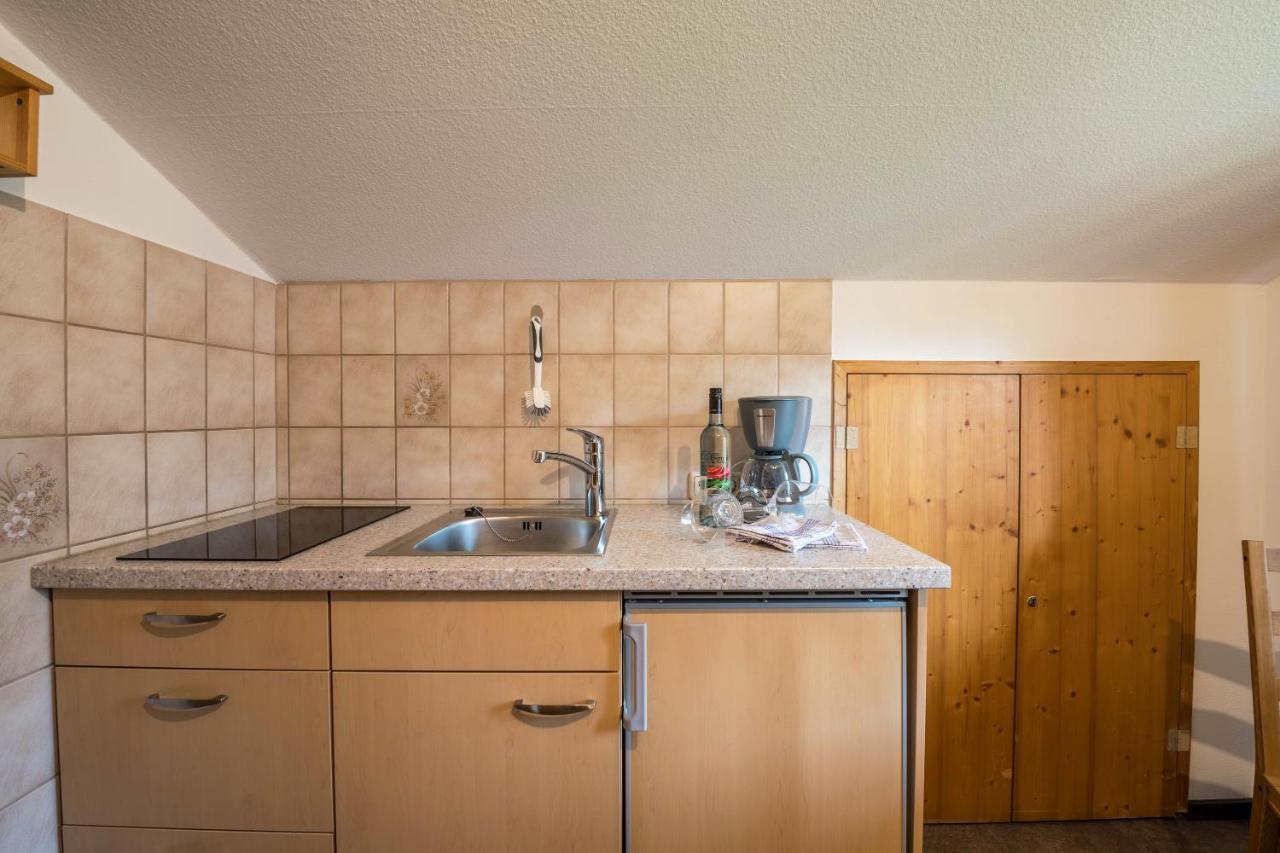 Ferienwohnung Gipfelblick グライナウ エクステリア 写真