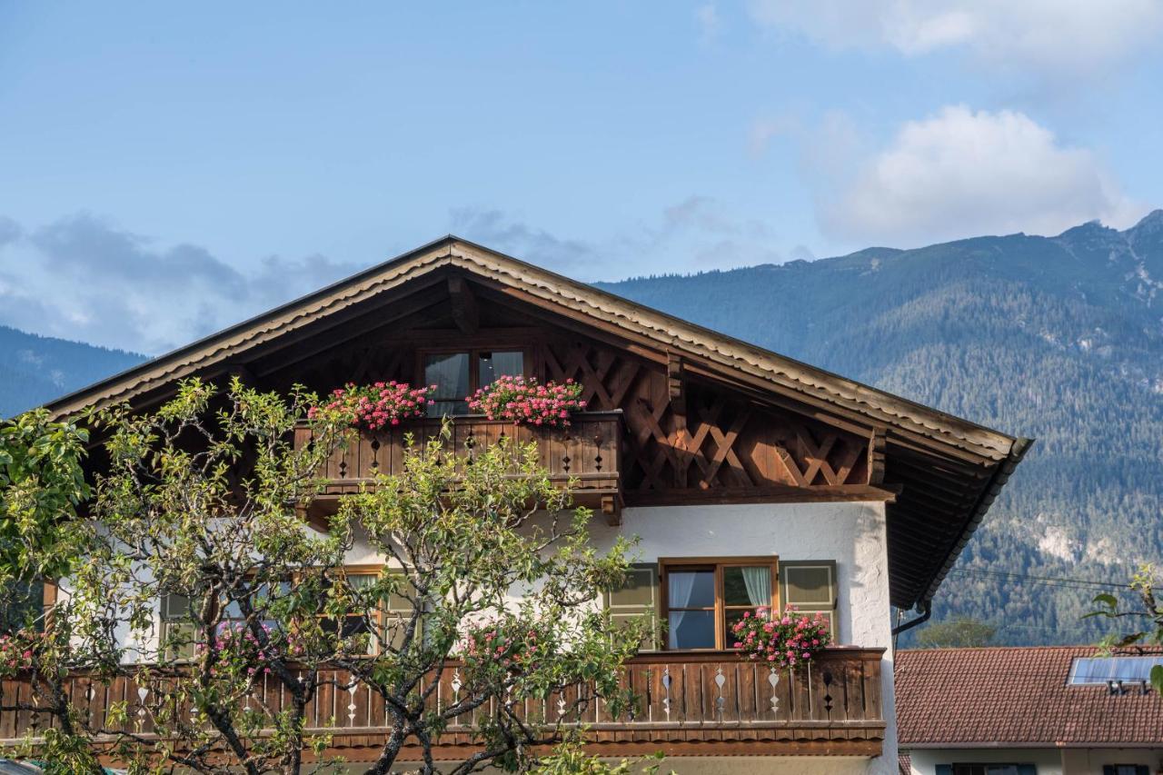 Ferienwohnung Gipfelblick グライナウ エクステリア 写真